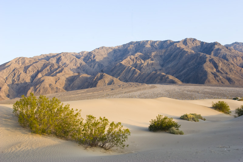 Mesquite Flat Sand Dunes